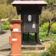 マヨの画像