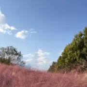 ぽにょ~プロフィールに詳しい事書いてますの画像