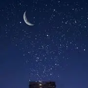 milmil プロフ必読の画像