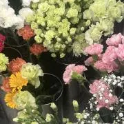 琥珀の画像
