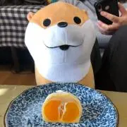 ゆきの画像