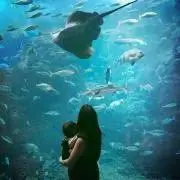 sys❁の画像