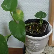 ☆コチラ☆