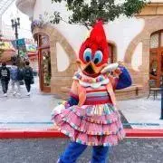 framboise2013の画像