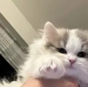 mの画像