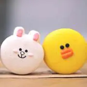 cocoの画像