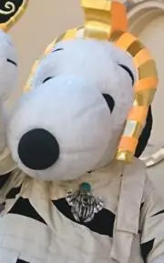 naoの画像
