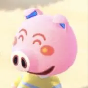 プー太郎の画像