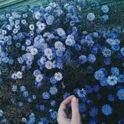 とろろ断捨離中の画像