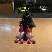 めるるの画像