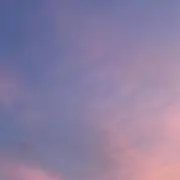 Yの画像