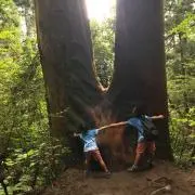 bigpeachの画像