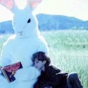 もちこの画像