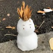 tinityの画像