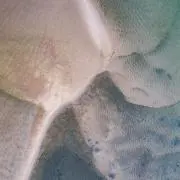 たの画像