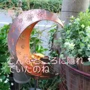 ユミ   プロフィールもご覧下さい！の画像