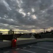 M　【即購入可】の画像