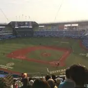 脱っっっ皮の画像