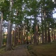 Dendendenの画像