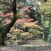 YUKI セール中の画像