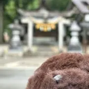 ぽよぽよの画像