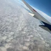 まの画像