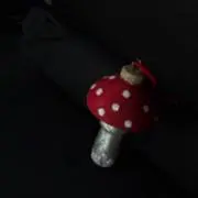 Pinoの画像