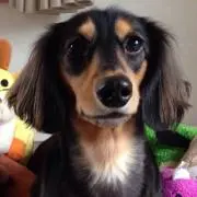 Cherish4