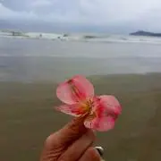 manana