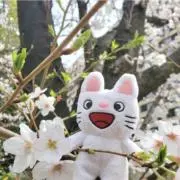 のんの画像