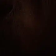 ストロベリー