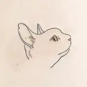 にゃんこの画像