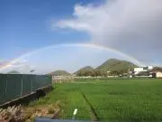 のり☆毎日発送しております☆の画像
