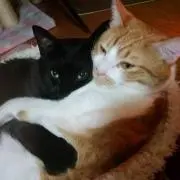 くーちゃんの画像