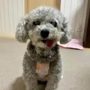 かすみ