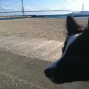 usaの画像