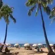 あんぱんまんの画像