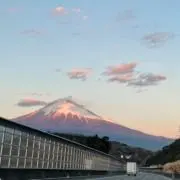 あにゃの画像
