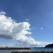 りゅ
