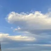 Sunnyの画像
