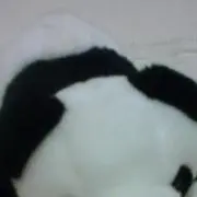 Michiyoの画像