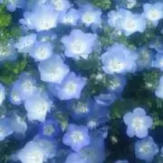 みな