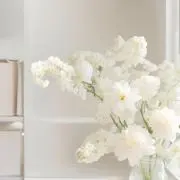 mireichanの画像