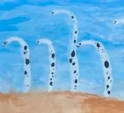 Micoの画像