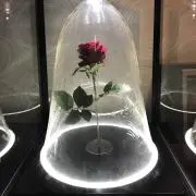 なも　必ずプロフご覧ください♡の画像