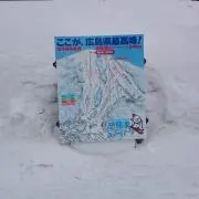 ハルイカ