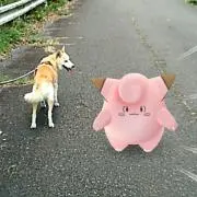 りー