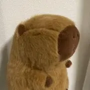 きなこの画像