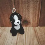 なんちゃんの画像