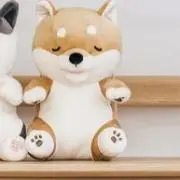 コタローの画像